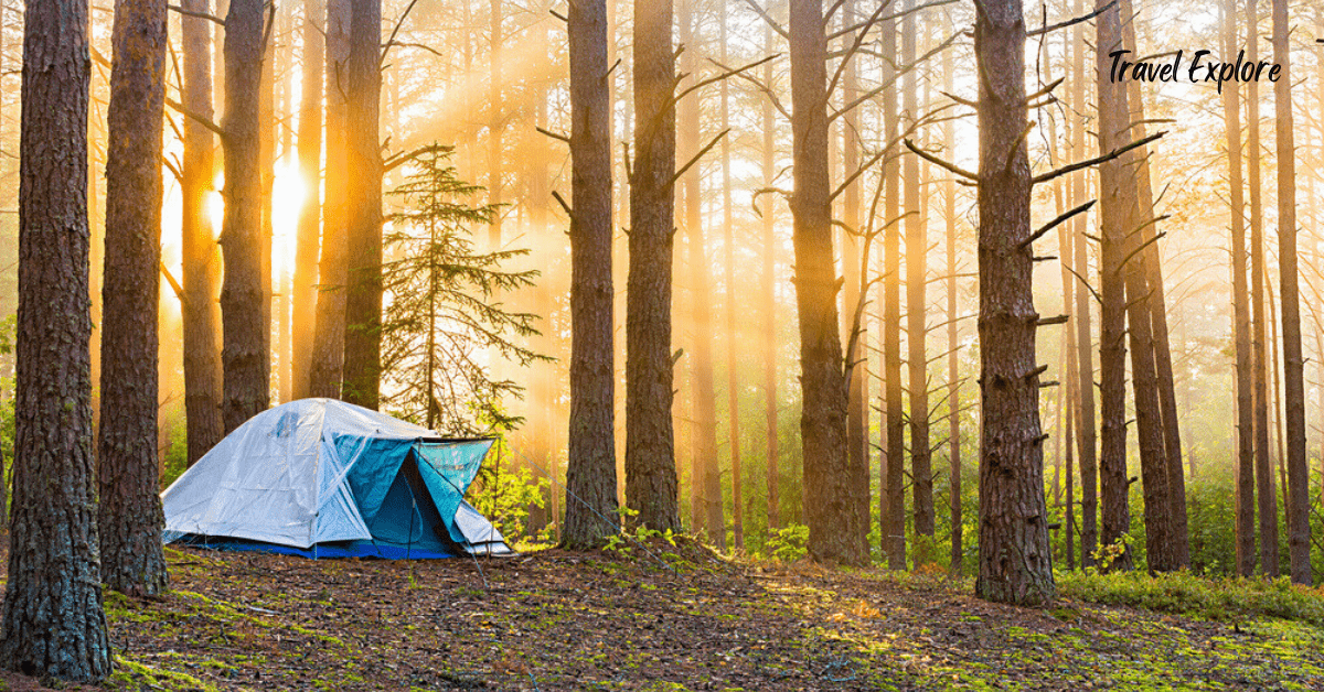 How can I Minimize my Impact on Wildlife and their Habitat While Camping?