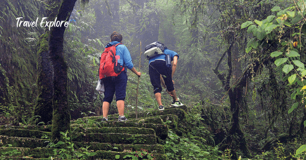 Slippery Trails