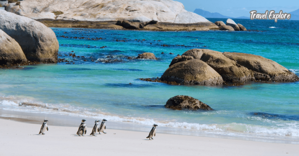 Boulders Beach, South Africa