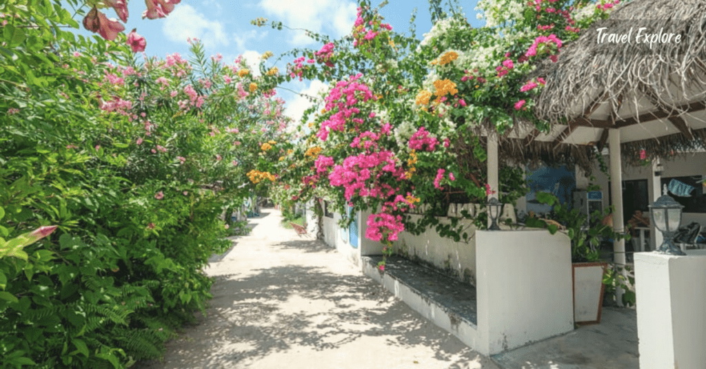 Greek-ish street vibes in Fulidhoo town