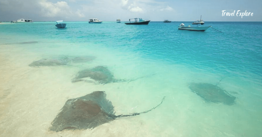 Stingray beach